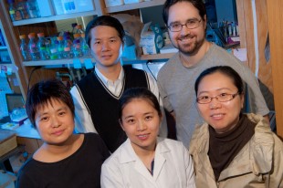 Researchers from Rice University and Baylor College of Medicine