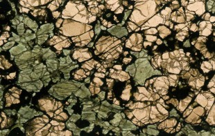 Garnet pyroxenite xenolith