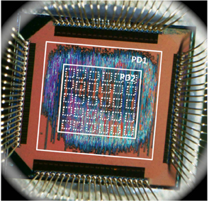 prototype computer chip