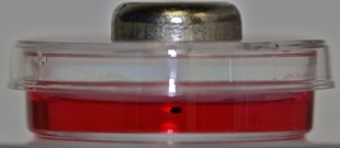 levitated cell culture