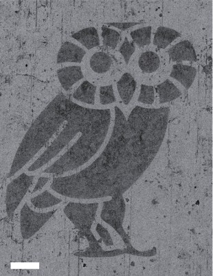 Graphene-hBN Rice Owl