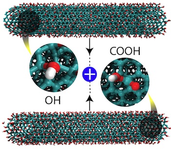 Researchers led by materials scientists at Rice University discovered that altering carbon nanotubes with carboxyl (COOH) and hydroxyl (OH) groups and grinding them together produces nanoribbons. 