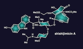 The molecule known as shishijimicin A, discovered more than a decade ago in a marine animal known as a sea squirt and found to be highly toxic to cancer cells, has been synthesized by the Rice University laboratory of chemist K.C. Nicolaou. (Credit: Courtesy of K.C. Nicolaou/Rice University)