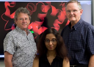 George Phillips, Premila Samuel and John Olson in Phillips 3-D visualization lab at Rice