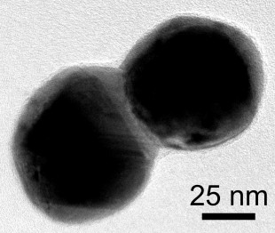 TEM image of gold nanparticle dimer