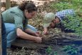 Sarah Bengston and Tom Miller examine ants at Big Thicket National Preserve