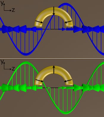 Circularly polarized light delivered at a particular angle to C-shaped gold nanoparticles produced a plasmonic response unlike any discovered before, according to Rice University researchers. When the incident-polarized light was switched from left-handed (blue) to right-handed (green) and back, the light from the plasmons switched almost completely on and off. 