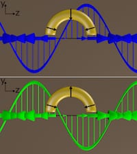 Circularly polarized light delivered at a particular angle to C-shaped gold nanoparticles produced a plasmonic response unlike any discovered before, according to Rice University researchers. When the incident-polarized light was switched from left-handed (blue) to right-handed (green) and back, the light from the plasmons switched almost completely on and off. (Credit: Link Research Group/Rice University)
