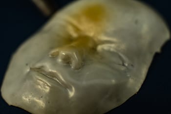 A face made of a unique polymer at Rice University takes shape when cooled and flattens when heated. The material may be useful in the creation of soft robots and for biomedical applications. (Credit: Jeff Fitlow/Rice University)