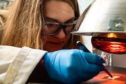 Rice University graduate student Morgan Barnes monitors a sample of a shape-shifting polymer that can be molded into a shape that appears when cooled and flattens when heated. (Credit: Jeff Fitlow/Rice University)