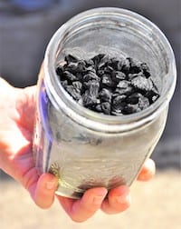 Charcoal-like biochar improves soil hydration and enhances agricultural production while it curtails nutrient leaching, increases nitrogen available to plants and reduces the release of gas pollutants. A new study by researchers at Rice University and North Dakota State University gathers current and potential sources of government support to promote the production and use of biochar. (Credit: Ghasideh Pourhashem)