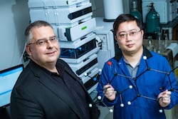 Rice University researchers László Kürti, left, and Zhe Zhou led an effort to develop a one-step method that allows nitrogen atoms to be added to precursor compounds used in the design and manufacture of drugs, pesticides, fertilizers and other products. (Credit: Jeff Fitlow/Rice University)