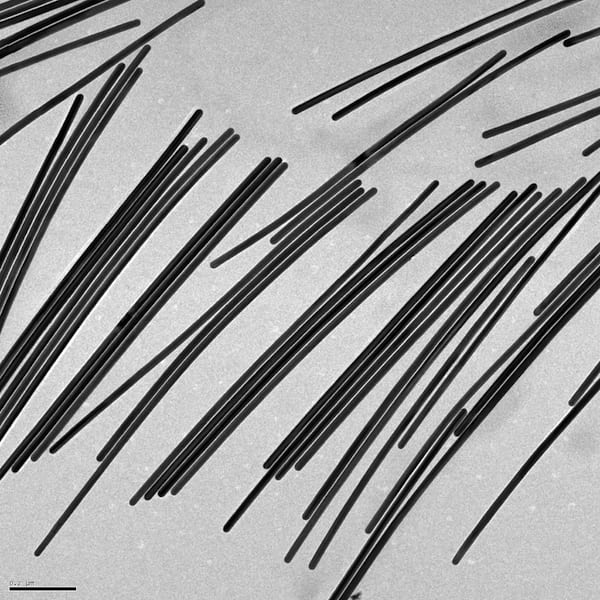 Gold nanowires grown in the Rice University lab of chemist Eugene Zubarev promise to provide tunable plasmonic properties for optical and electronic applications. The wires can be controllably grown from nanorods, or reduced. 