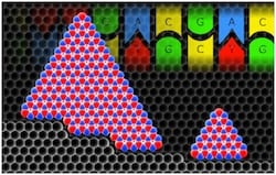 Rice University researchers determined complementarity between growing hexagonal boron nitride crystals and a stepped substrate mimics the complementarity found in strands of DNA. The Rice theory supports experiments that have produced large, oriented wafers. (Credit: Ksenia Bets/Rice University) 