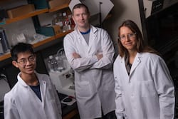 Rice University researchers (from left) Ryan Lee, Alexey Revtovich and Natasha Kirienko showed how a dietary deficit of vitamin B12 harms the health of nematodes at a cellular level, leading to an increased risk of infection by two potentially deadly pathogens. (Photo by Jeff Fitlow/Rice University)