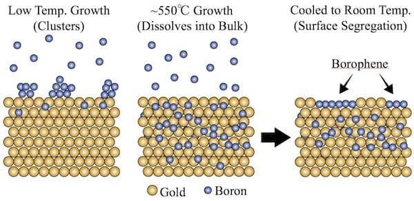 Scientists at Rice, Northwestern and the Argonne National Laboratory created islands of highly conductive borophene, the atom-flat form of boron, on gold. Boron atoms dissolve into the gold substrate when heated, but resurface as borophene when the materials cool. (Credit: Illustration by Luqing Wang/Rice University)