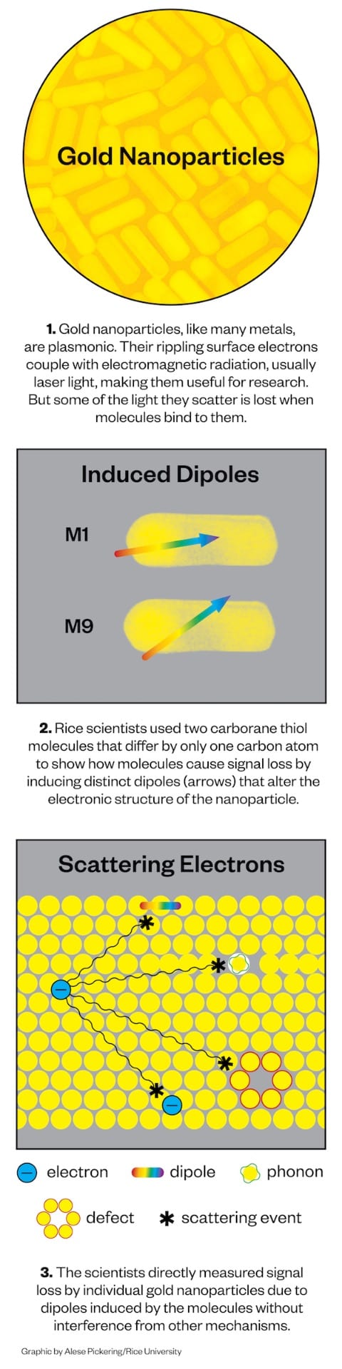 Illustration shows how scientists measure signal loss by plasmonic gold nanoparticles by attaching molecules that create damping on the surface.