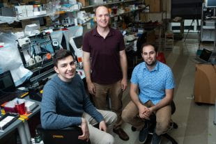 Rice University bioengineers Bagrat Grigoryan, Jordan Miller and Daniel Sazer