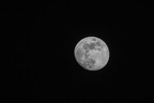 Photo of the moon. Credit: 123rf.com