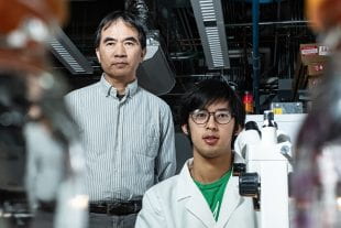 Rice University physicists Pengcheng Dai and Tong Chen
