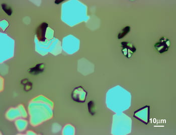 A microscope image shows flakes of epsilon-iron(III) oxide grown on mica by Rice University engineers. The nearly 2D crystals are promising building blocks for electronics and spintronics that take advantage of their stable magnetic properties. (Credit: Lou Group/Rice University)