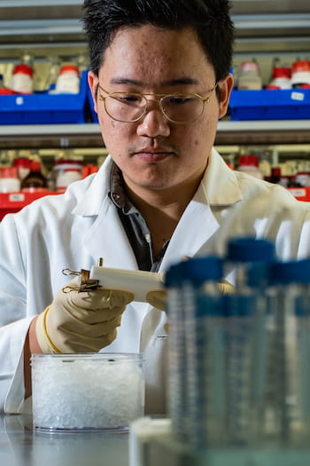 Rice University graduate student Jason Guo fills a mold with bioactive hydrogel. Injectable hydrogels can be enhanced with biomolecules and mixed at room temperature to help heal a variety of wounds. (Credit: Jeff Fitlow/Rice University)