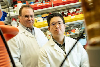 Rice University bioengineer Antonios Mikos, left, and graduate student Jason Guo led a team that developed modular, injectable hydrogels enhanced by bioactive molecules anchored in the chemical crosslinkers that give the gels structure. (Credit: Jeff Fitlow/Rice University) 
