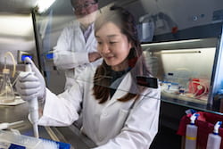 Rice University graduate student So Hyun Park prepares an experiment in the lab of bioengineer Gang Bao, in the background. The lab is working toward help for patients with sickle cell disease through gene editing. (Credit: Jeff Fitlow/Rice University)