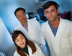 Rice University researchers, from left, So Hyun Park, Gang Bao and Timothy Davis, are advancing gene-editing techniques to help patients with sickle cell disease. They are part of the team that discovered an unexpected boost in fetal hemoglobin production, which mutes the effect of the disease. (Credit: Jeff Fitlow/Rice University)
