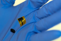 Metal-free antennas made of thin, strong, flexible carbon nanotube films are as efficient as common copper antennas, according to a new study by Rice University researchers. (Credit: Jeff Fitlow/Rice University)
