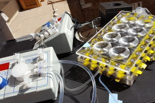 An experimental setup of Rice's NESMD solar desalination system