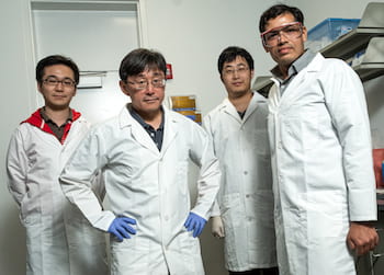 Rice University researchers, from left, Xinwei Li, Junichiro Kono, Weilu Gao and Gururaj Naik. (Credit: Jeff Fitlow/Rice University)