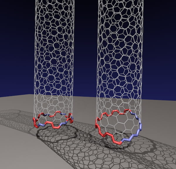 Rice University researchers have determined that an odd, two-faced "Janus" edge is more common than previously thought for carbon nanotubes growing on a rigid catalyst. The conventional nanotube at left has facets that form a circle, allowing the nanotube to grow straight up from the catalyst. But they discovered the nanotube at right, with a tilted Janus edge that has segregated sections of zigzag and armchair configurations, is far more energetically favored when growing carbon nanotubes via chemical vapor deposition. (Credit: Illustration by Evgeni Penev/Rice University)