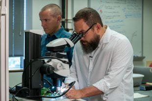 Scott Egan and Mattheau Comerford at work in the lab