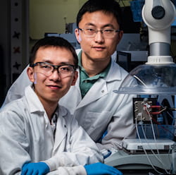 Rice University postdoctoral researcher Chuan Xia, left, and chemical and biomolecular engineer Haotian Wang. (Credit: Jeff Fitlow/Rice University)