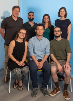 A team of Rice University researchers, with collaborators at Stanford University, set out to untangle the interactions in mixtures of proteins and gold nanorods and found that bovine serum albumin triggers multilevel chirality in the complexes. From left: front, Lauren Warning, Qingfeng Zhang and Rashad Baiyasi, and rear, Stephan Link, Seyyed Ali Hosseini Jebeli, Lauren McCarthy and Christy Landes. (Credit: Jeff Fitlow/Rice University)