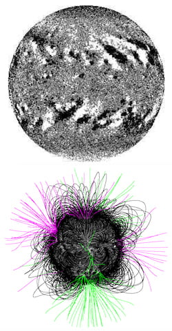 A stellar flux transport simulation, top, shows positive (white) and negative (black) magnetic polarity on the surface of a star. At bottom, associated coronal magnetic field lines show outward (magenta) and inward (green) lines that extend into interplanetary space, forming the magnetic field of the inner asterosphere, while those in black represent closed lines with ends rooted in the stellar photosphere. Researchers at Rice University used the models to help determine that some exoplanets may not be habitable despite having orbits in the so-called “Goldilocks” zones around their stars. (Credit: Alexander Group/Rice University)