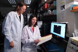 Rice University bioscientists Natasha Kirienko, left, and Svetlana Panina found a cocktail of cancer-fighting mitocan molecules and a glycolytic inhibitor is effective at fighting acute myeloid leukemia. The discovery could lead to better personalized treatment of the disease. (Credit: Jeff Fitlow/Rice University)
