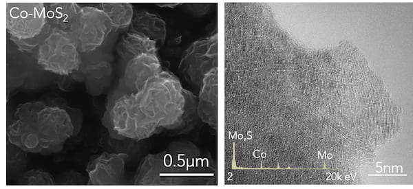 Microscope images show cobalt-doped molybdenum disulfide as grown on a carbon cloth. The high-resolution transmission electron microscope image at right reveals the doped nanosheets, which facilitate the efficient electrochemical catalysis of ammonia. The process was developed for small-scale use by materials scientists at Rice University. (Credit: Lou Group/Rice University)