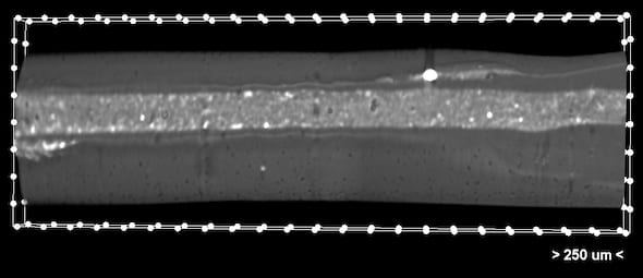 A microCT image shows a grooved thread that holds the low-viscosity bioink. They are part of a 3D-printed scaffold developed at Rice University to facilitate the growth of new tissue like bone and cartilage. The scaffolds degrade over time to leave layers of natural tissues in place. (Credit: Rice Biomaterials Lab)