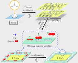 A schematic shows the three-step method to produce molecular-imprinted graphitic carbon nitride nanosheets. The process developed by Rice University researchers could help catch and kill free-floating antibiotic resistant genes found in secondary effluent produced by wastewater plants. (Credit: Illustration by Danning Zhang/Rice University)