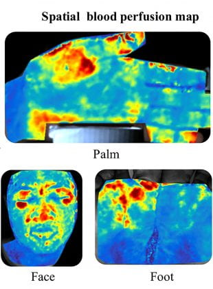 Three PulseCam maps showing blood flow to the face, hand and feet. Red indicates the most blood and blue the least.