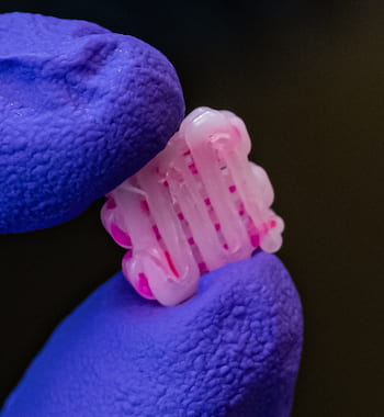 Artificial intelligence can speed the development of 3D-printed bioscaffolds like the one above to help injuries heal, according to researchers at Rice University. (Credit: Jeff Fitlow/Rice University)