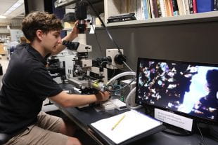Rice University graduate student Patrick Phelps using a cathodoluminescence microscope.