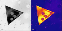 A transmission electron microscope image at left and a color map version at right highlights deformations in silver nanosheets laid over iron oxide nanospheres. Rice University scientists determined that van der Waals forces between the spheres and sheets are sufficient to distort the silver, opening defects in their crystalline lattices that could be used in optics or catalysis. Courtesy of The Jones Lab