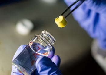 A simple chemical process developed at Rice University creates light and highly absorbent aerogels based on covalent organic frameworks for environmental remediation or as membranes for batteries and other applications. (Credit: Jeff Fitlow/Rice University)