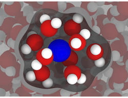 An illustration based on simulations by Rice University engineers shows a gadolinium ion (blue) in water (red and white), with inner-sphere water -- the water most affected by the gadolinium -- highlighted. The researchers’ models of gadolinium in water show there’s room for improvement in compounds used as contrast agents in clinical magnetic resonance imaging. (Credit: Illustration by Arjun Valiya Parambathu)